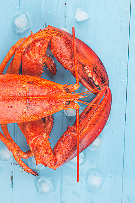 Lobsters