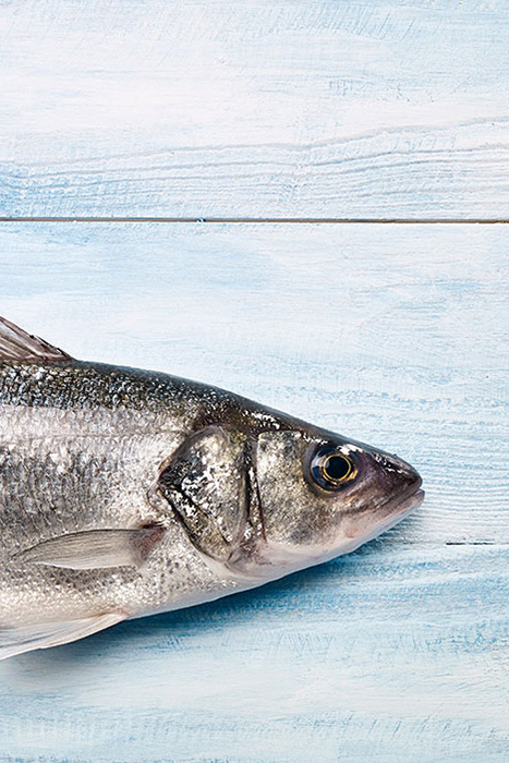 Sea Bass