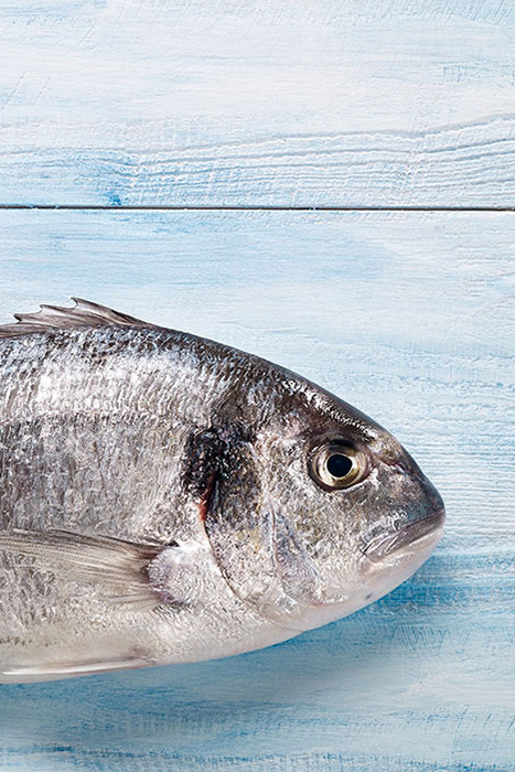 Sea Bream